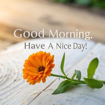 Bright orange flower with good morning text on wooden background