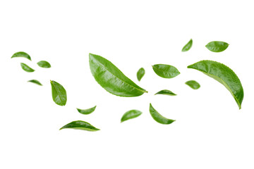 Green Leaves Floating Isolated on Transparent Background png