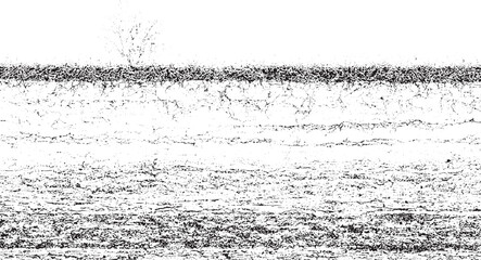 Black and white textured background resembling soil layers and grass roots grunge