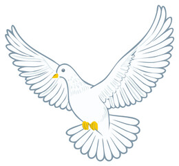 Obraz premium Dove flying wings spread symbol of peace white bird freedom illustration