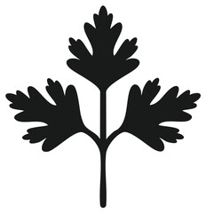 Obraz premium Black Parsley Leaf Silhouette, Vector Illustration, Herb, Ingredient, Healthy Food
