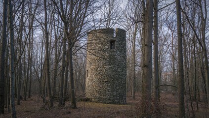 Ancient cylindrical stone structure surrounded by a thick woodland of mostly leafless tall trees, with moss growing on its worn surface.