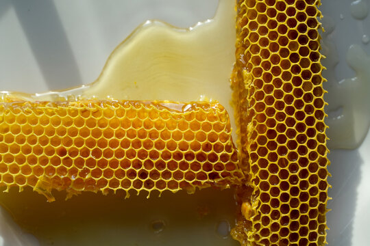 honey comb