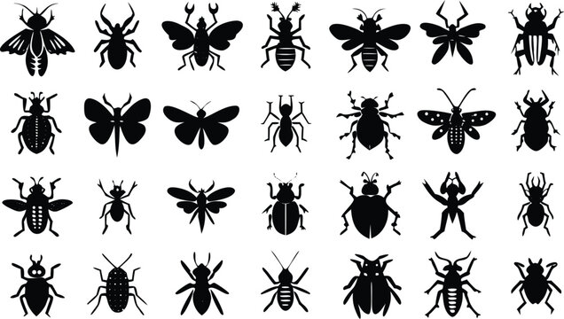 Black silhouettes of a variety of common insects and bugs collection.