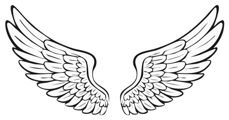 Obraz premium Black and White Stylized Feathered Wings Illustration Symbol