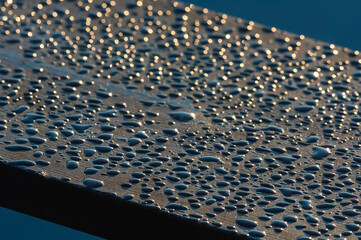 Water drops glisten on wooden surface in Sweden during early morning light