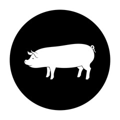 black and white illustration of a pig with background circle
