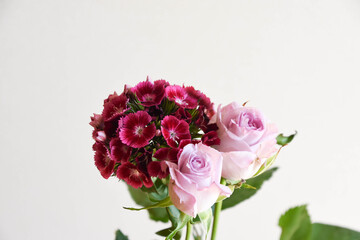 薔薇と撫子
