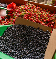 Mercado Tradicional Mexico Comida Tradici&oacute;n Gastronom&iacute;a Cultura