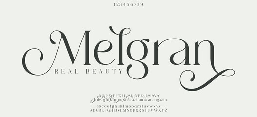 Premium luxury elegant alphabet letters and numbers. Elegant wedding typography classic serif font decorative vintage retro. Creative vector illustration