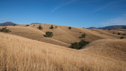 Obraz premium Scenic Charm of the Hills