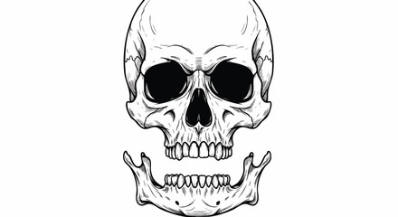 Fototapeta premium Illustration of a skull with open jaw, hand-drawn in a vector style. Concept for Halloween, horror, or medical illustration, anatomy projects