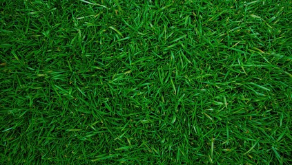 Artificial grass field texture and background for landscaping design, seasonal change