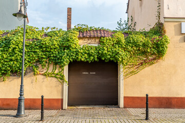 Garage entrance covered with lush green ivy on city street, urban façade