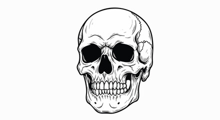 Striking black and white line art illustration of a human skull with an intense, menacing expression, perfect for graphic design or tattoo concepts
