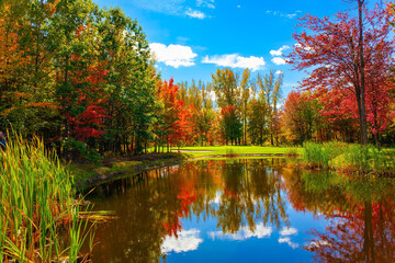 Fototapeta premium The smooth water of the pond