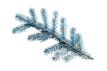 Naklejka premium Blue Evergreen Branch Christmas Decoration, Isolated on Transparent Background