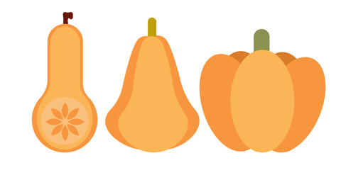 Set of ripe orange pumpkins in various shapes and sizes. Autumn harvest element for design, posters, banners, invitations, and seasonal promotions.