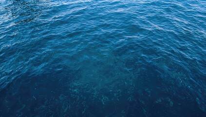 Aerial view of a blue water surface, ideal for layout and UI backdrop