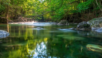 Obraz premium Creeks in lush forested landscape, showcasing natural water flow, erosion risk