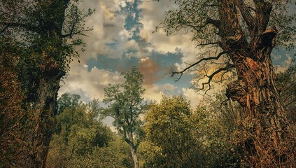 Fototapeta premium Digital collage of a natural landscape featuring tall trees and sky, suitable for editorial backdrop