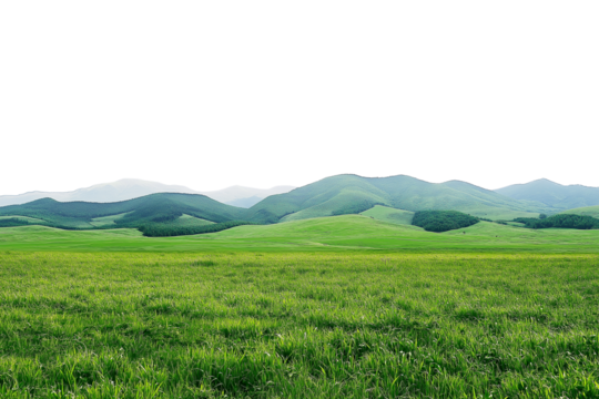 Vast empty summer spring landscape with mountain range in the distant horizon isolated on transparent background.