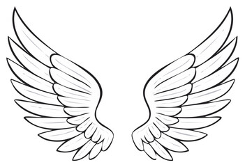 Fototapeta premium Stylized Feathered Wings: Symmetrical Angelic Pair Illustration