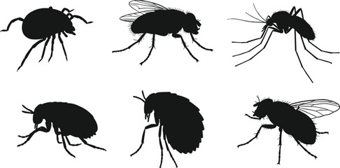 Silhouette insects collection, black fly shapes, entomology illustration, insect taxonomy design, biological diversity, winged bug outline, educational science graphic, vector isolated icons