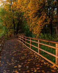 A beautiful golden autumn scenery of a park with wooden pathway. Seasons in Riga, Latvia.