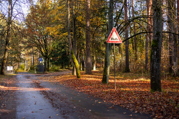 A beautiful autumn scenery with leav covered street and trees. Sunny day in Riga, Latvia.