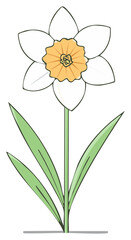 Simple line art illustration of a single white daffodil flower with a yellow center and green stem