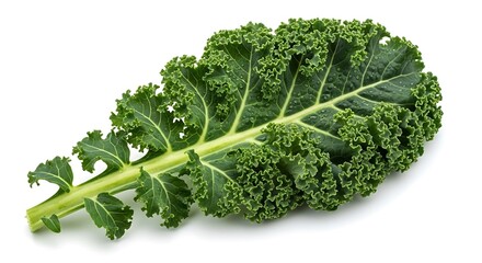 Fresh Green Kale Leaf with Water Droplets on White Background