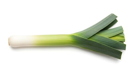 Fresh Leek Vegetable Isolated on White Background