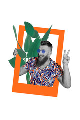 Vertical photo collage of happy hipster man blogger inside instagram post palm leaves show hello...