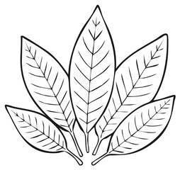 Outlined leaves in black and white illustration with linear patterns for design