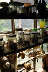 Glass jars filled with various metal hardware and small objects arranged on wooden shelves in workshop, sunlight streaming through window, tools and containers visible in background
