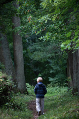 Caucasian child walking alone along forest path surrounded by tall trees, back view visible, exploring nature in outdoor woodland setting, wearing casual clothing, summer foliage overhead