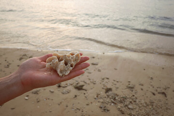 Caucasian young adult woman holding piece of coral in outstretched hand near shoreline, ocean waves gently approaching sandy beach scattered with small shells and rocks