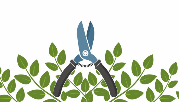 Simple gardening illustration showing pruning tool shaping plant for clean yard and natural growth