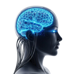Obraz premium Artificial intelligence brain in robot head isolated on transparent background