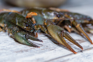 Claws of freshwater crayfish close-up on a wooden kitchen table, extreme close-up.