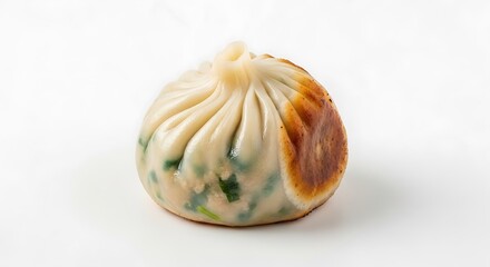 Delicious Pan-Fried Dumpling with Savory Filling
