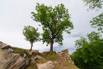 Bulgaria - A rugged hillside with prominent trees, large rocks, and an old stone wall under a cloudy sky.