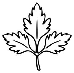 Simple line drawing of three lobed leaf with jagged edges and veins, botanicals, vector