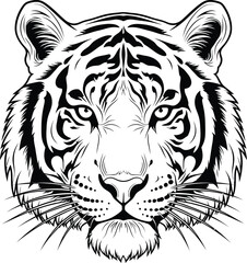 Tiger face animal feline predator mammal wildlife nature zoo bengal stripes cat