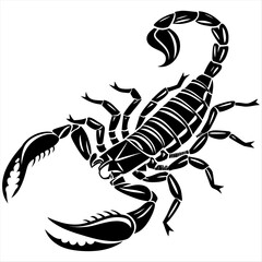 Scorpion Insect Vector - A Black and White Graphic of a Scorpion with its Stinger Raised