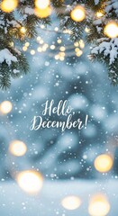 Snow-covered pine branches with golden Christmas lights and Hello December lettering in blue and yellow, ideal for winter holiday greeting cards and seasonal promotions