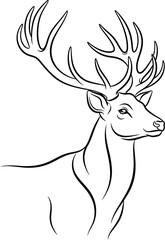 Deer stag antlers mammal wildlife nature animal forest buck reindeer wild