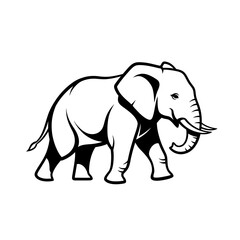 Obraz premium Elephant walking with tusks and trunk, side view.