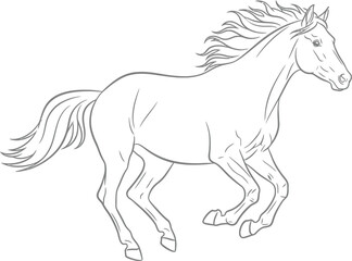 Horse running equine mammal animal stallion mare gallop wildlife freedom power